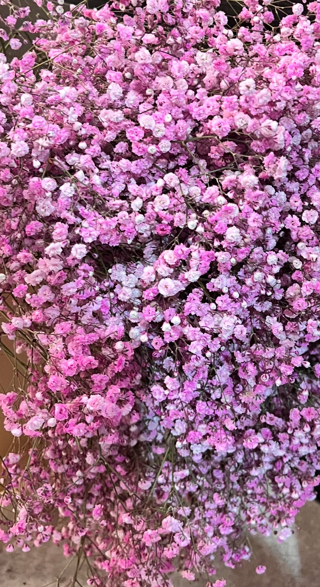 Pickup-Collection: Monobouquet Rosa Schleierkraut