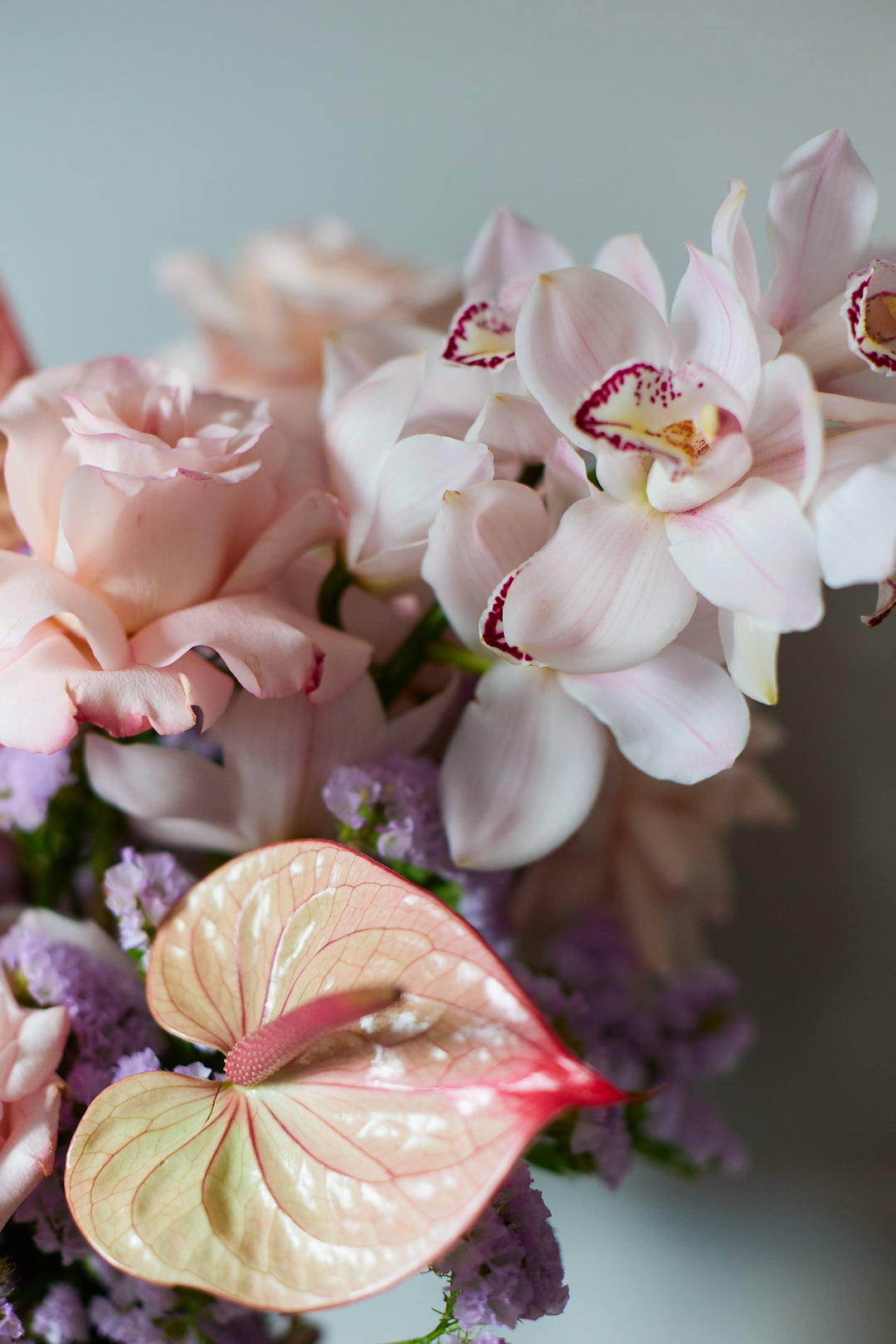 Frischblumen Josephine