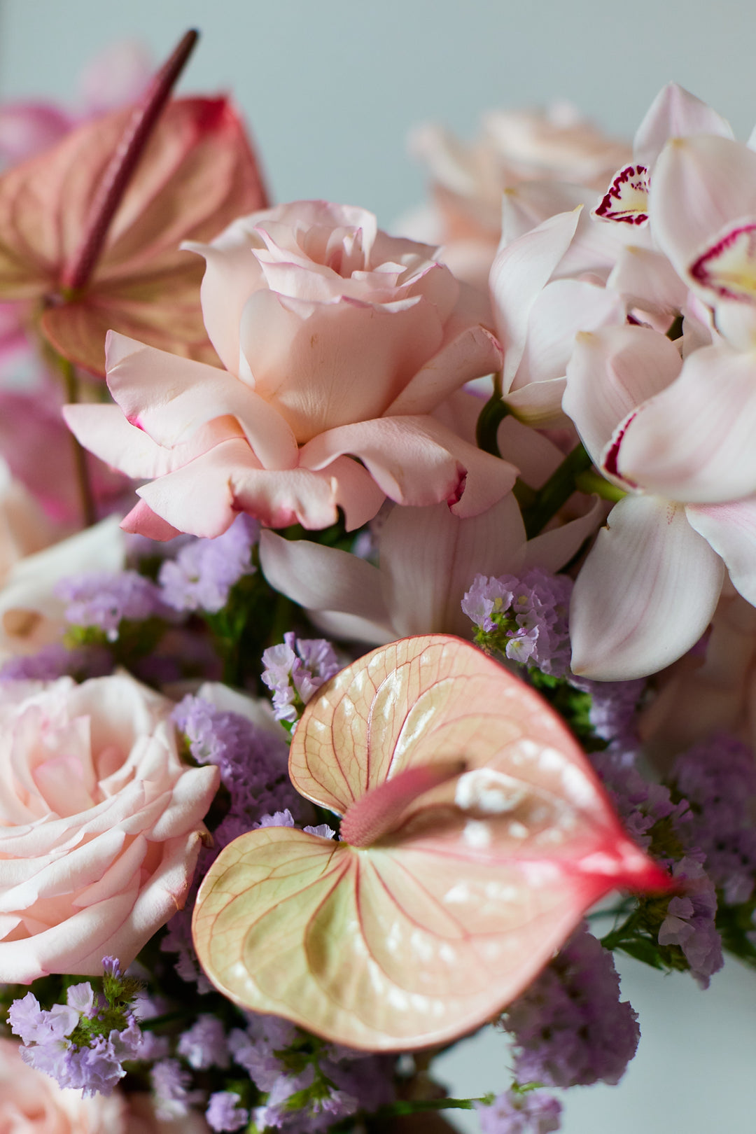 Frischblumen Josephine