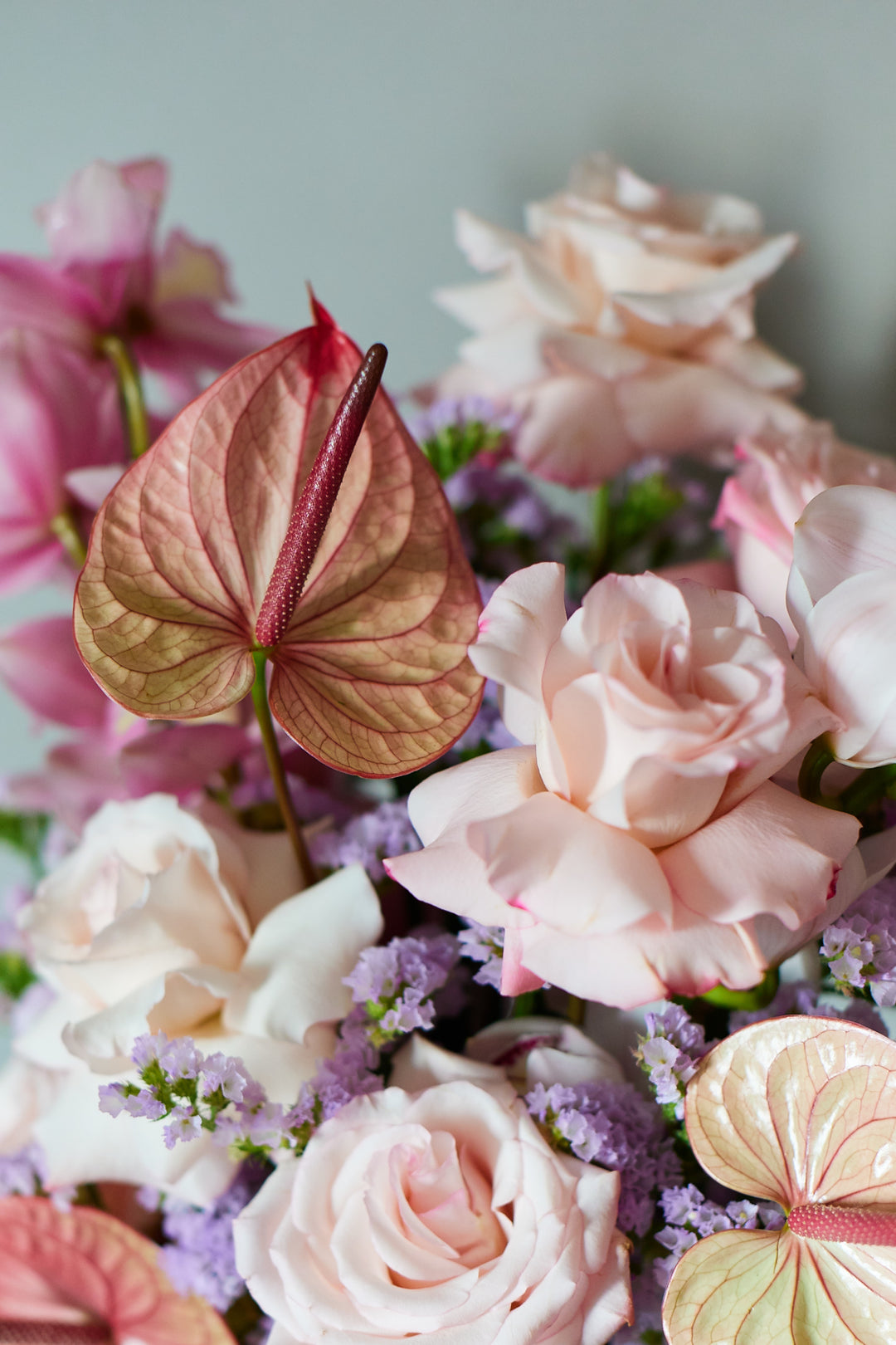 Frischblumen Josephine
