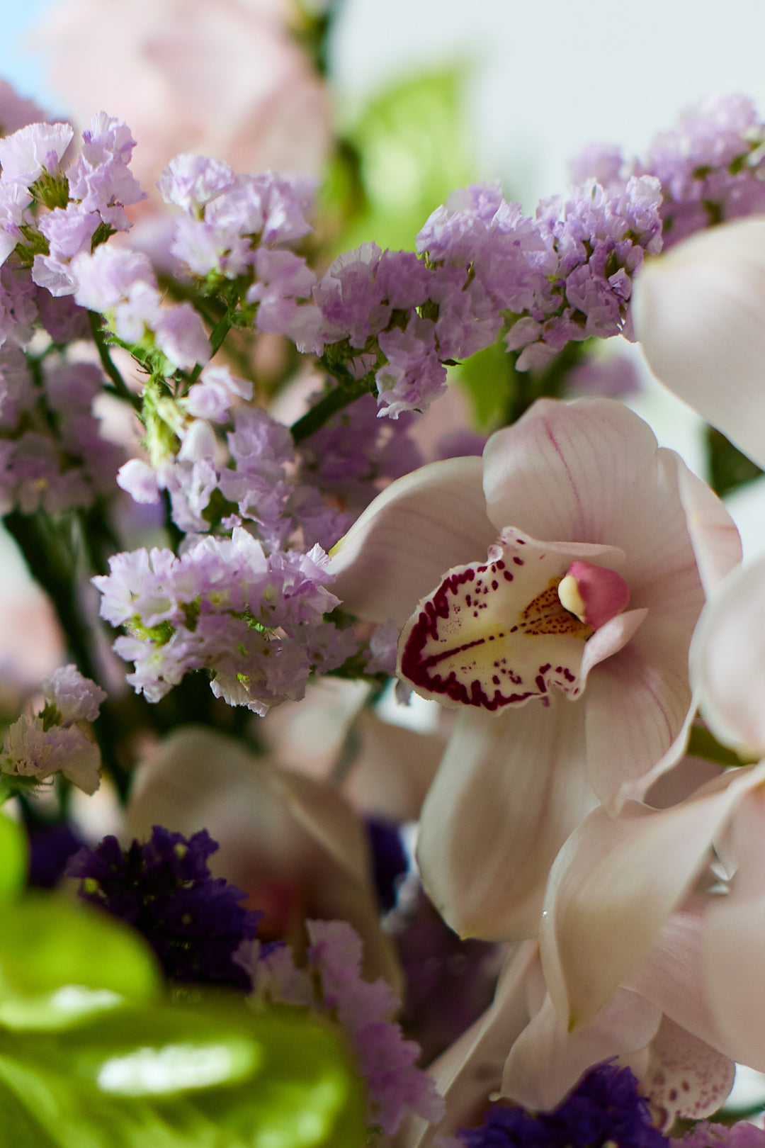 Frischblumen Liv