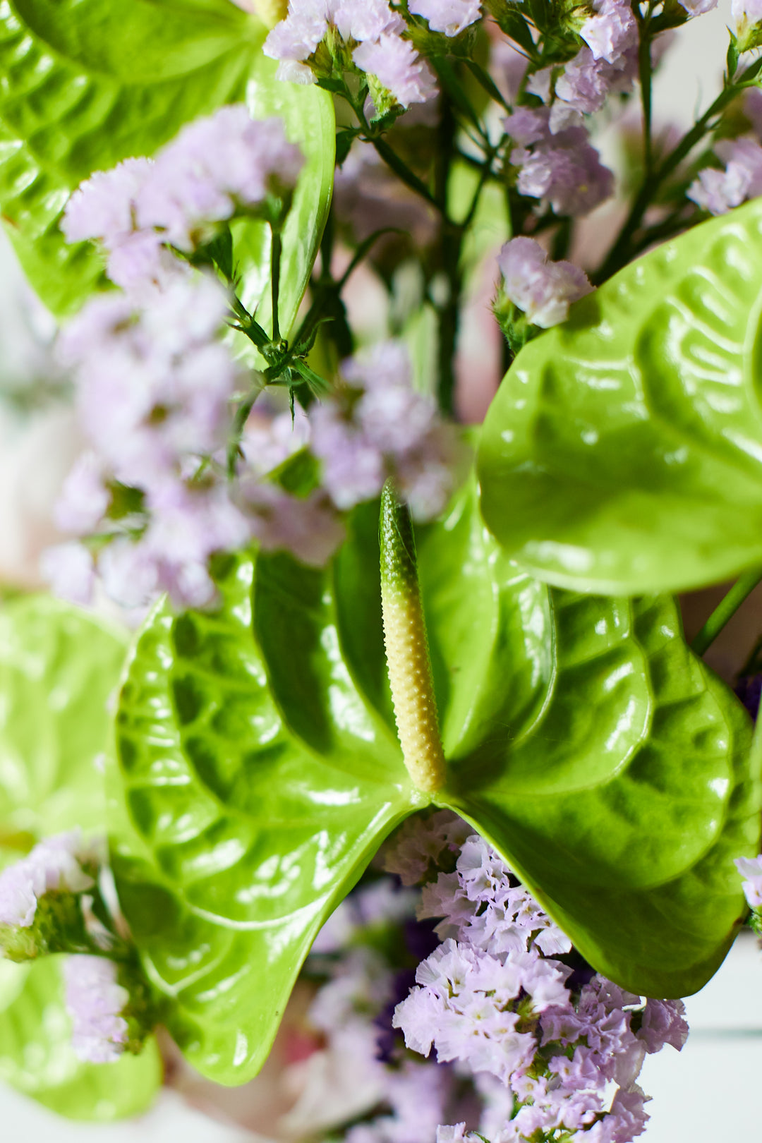 Frischblumen Liv