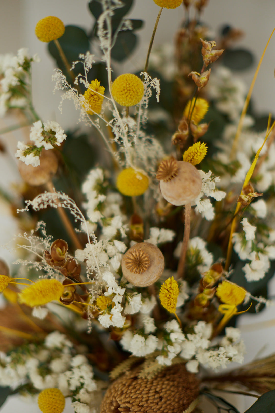 Trockenblumen Emma