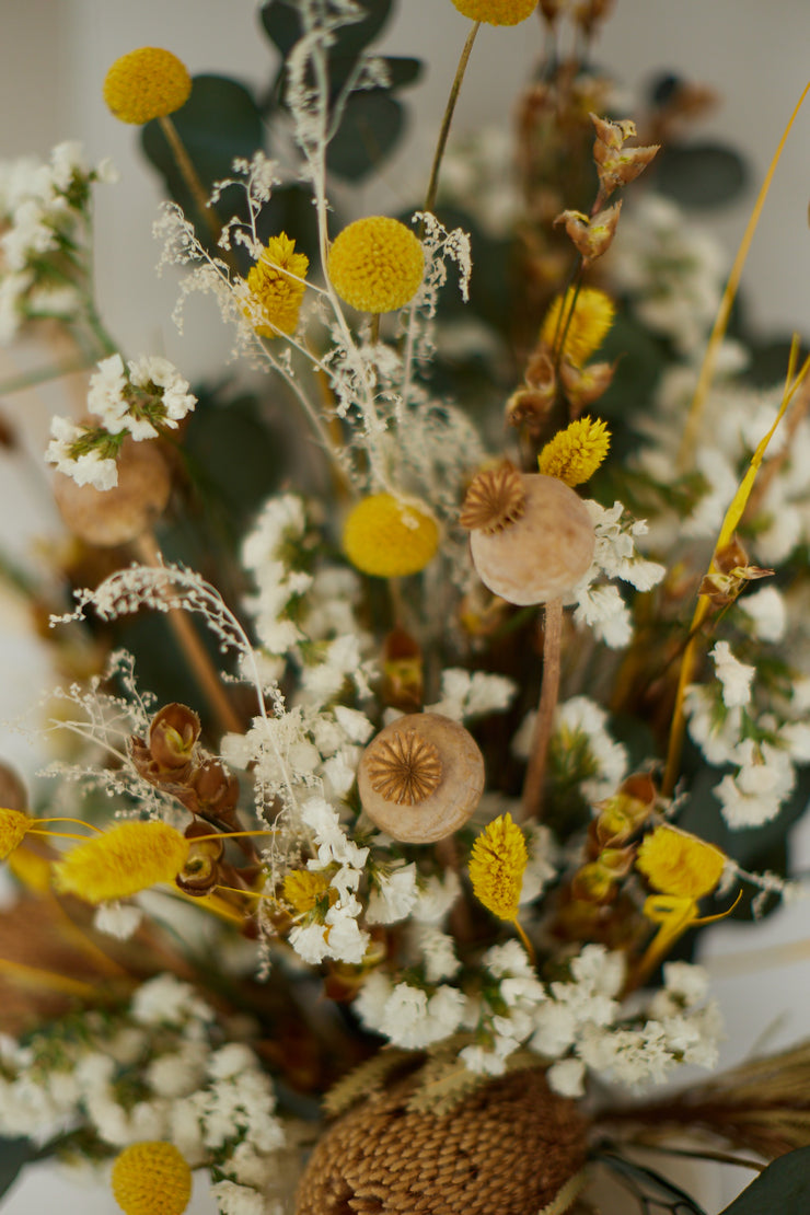 Trockenblumen Emma