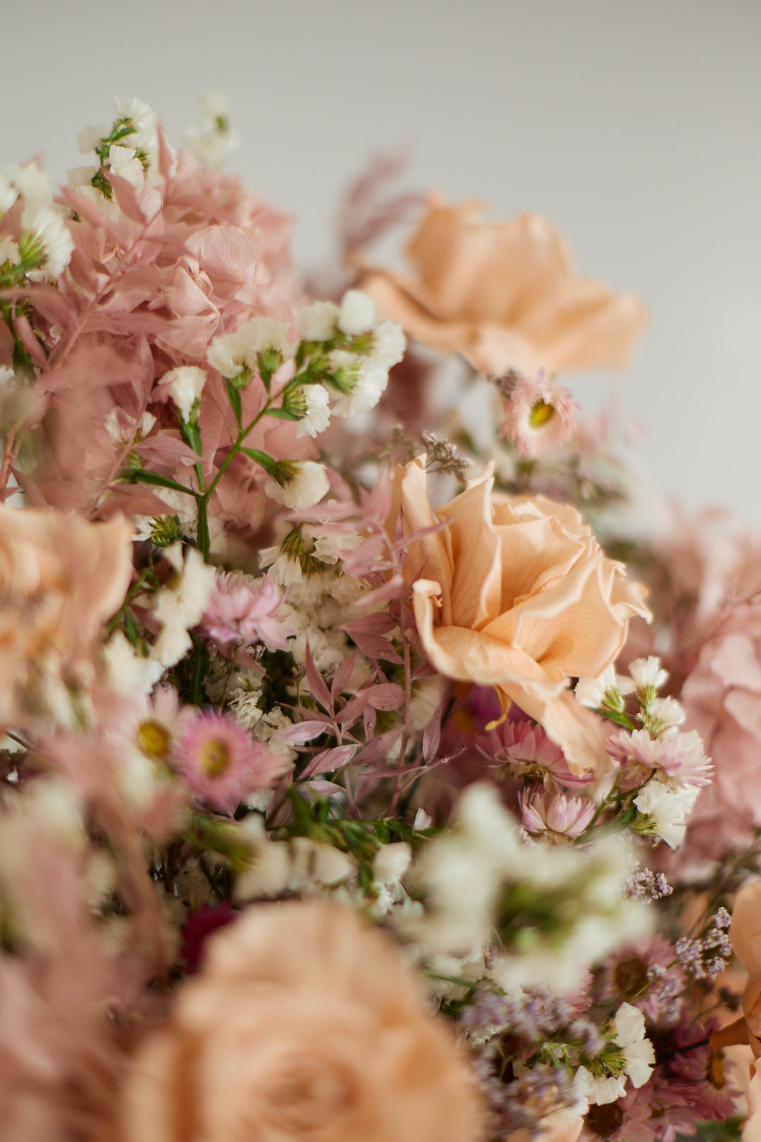 Trockenblumen Romi