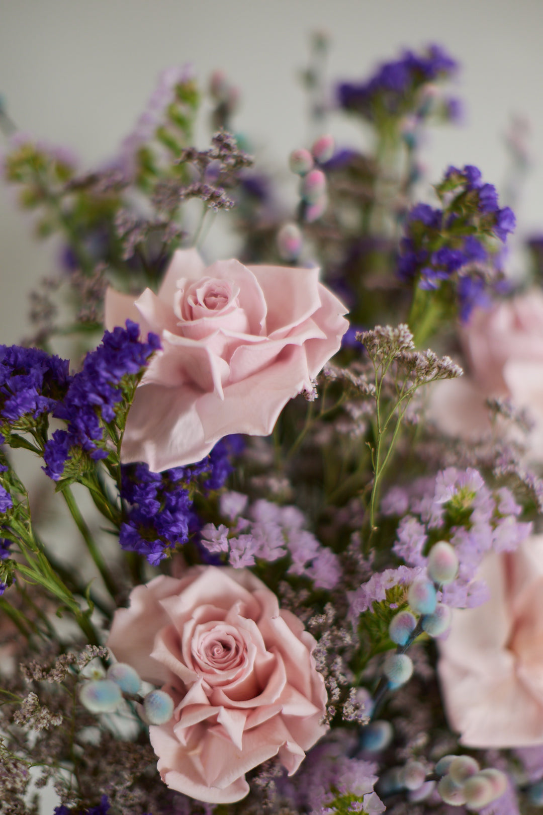 Trockenblumen Lea